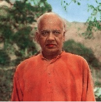 Image 1A
